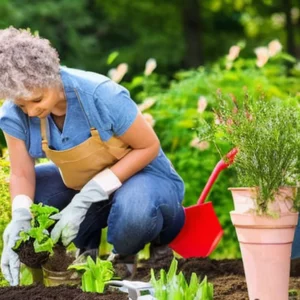 Read more about the article Gardening can improve your mental health , MSU researchers find
