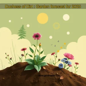Read more about the article Duchess of Dirt : Garden forecast for 2025