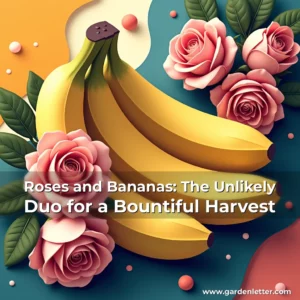 Read more about the article Roses and Bananas: The Unlikely Duo for a Bountiful Harvest